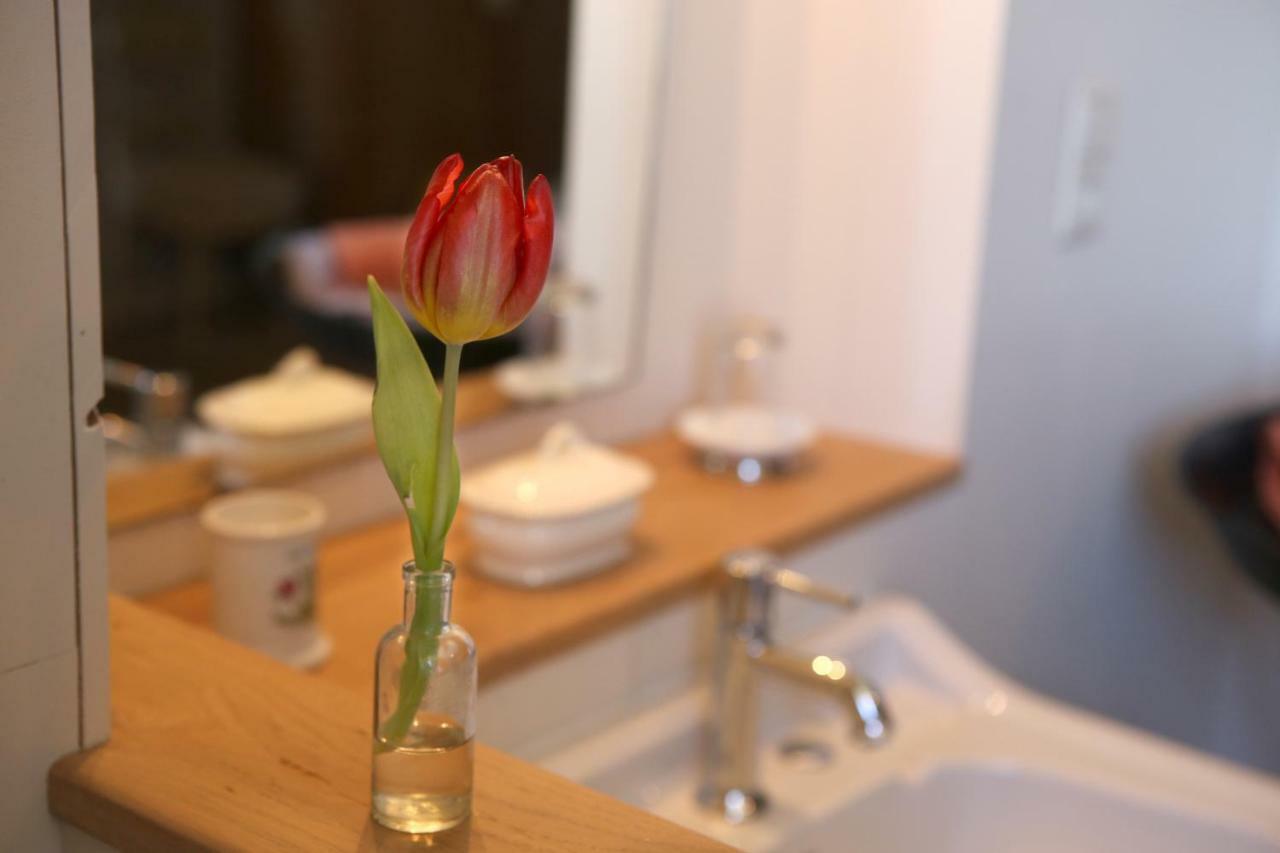 Le Couvent De Neuviale Bed and Breakfast Parisot  Εξωτερικό φωτογραφία